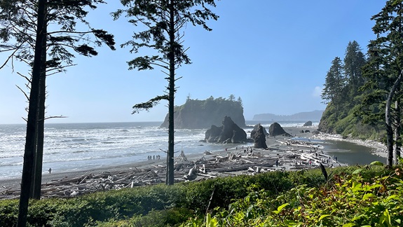 Ruby Beach | Travelhome Campervakanties